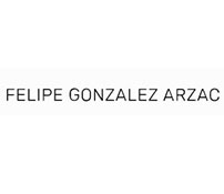 Felipe Gonzalez Arzac Arquitecto - Logo